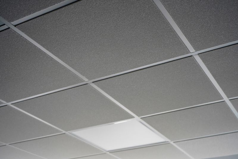 Acoustic Ceiling Replacement in Boulder, CO