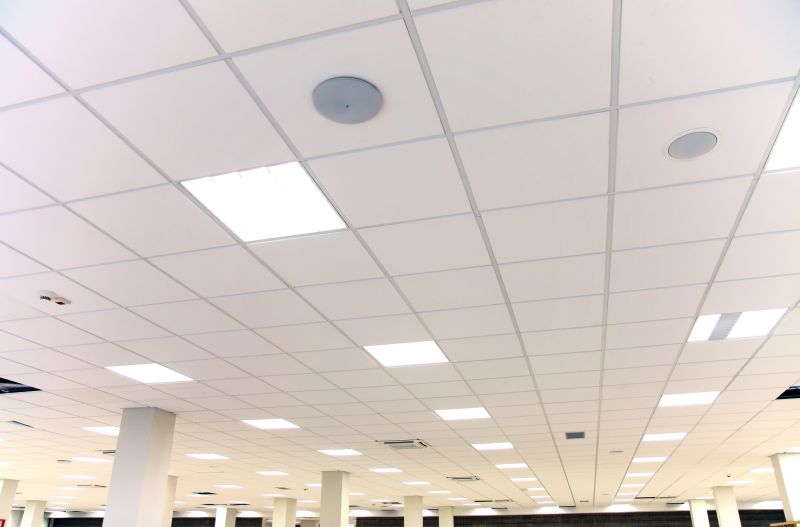 Local Ceiling Tiles Repair in Sherrills Ford, NC