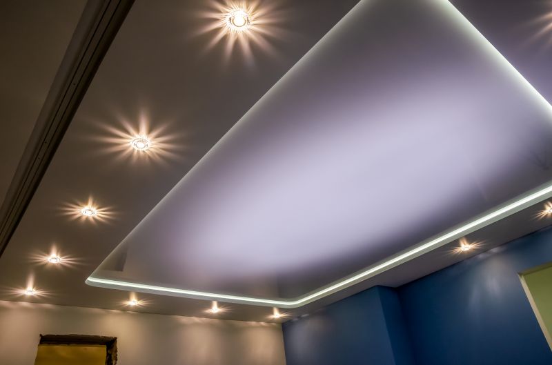 Grid Ceiling Repair in Boulder, CO