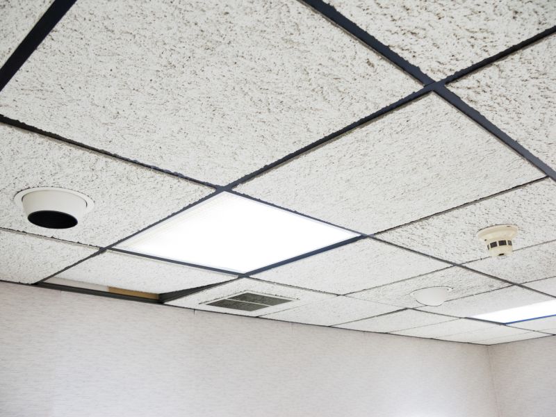 Grid Ceiling Repair