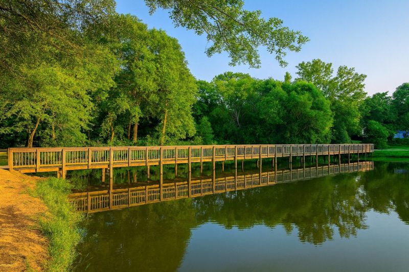 Local Ceiling Tiles Repair in Davidson, NC