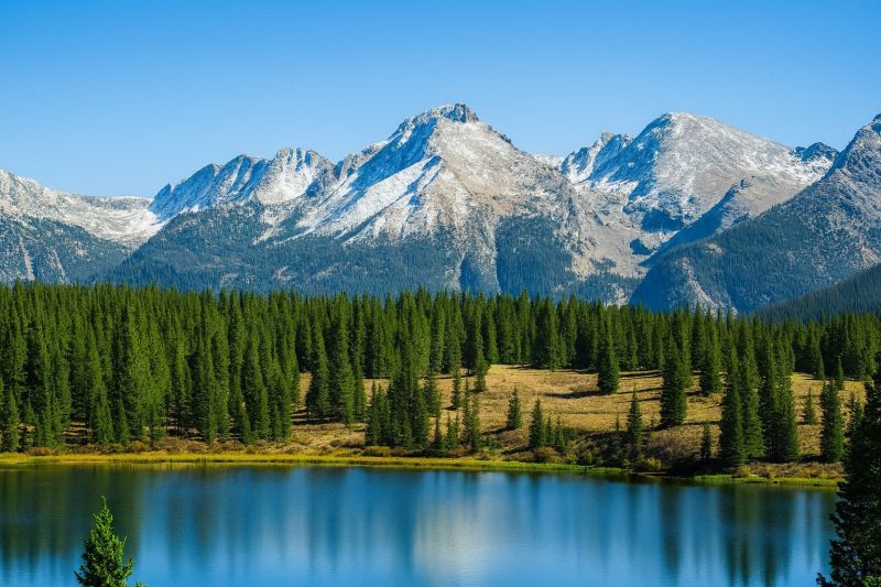 Local Suspended Ceiling Installation in Lafayette, CO