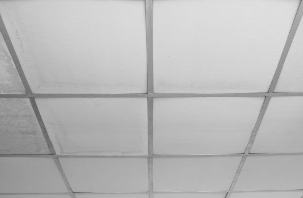 Ceiling Panel Repair Service